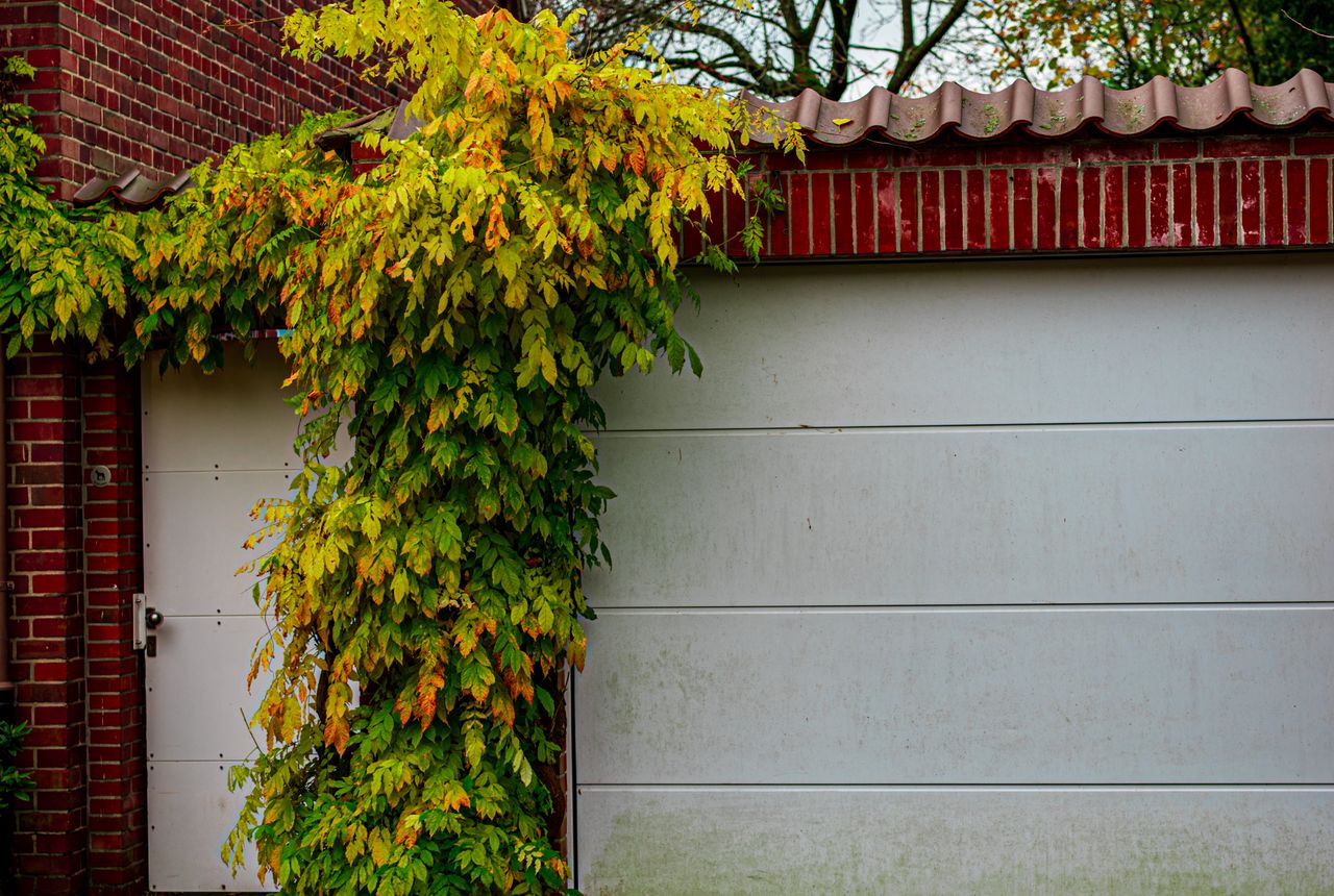 Garage door service in Cypress, TX